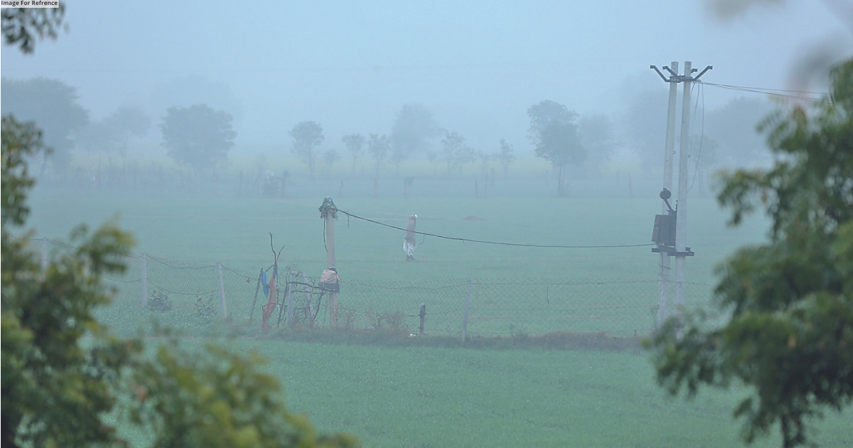 Dense fog engulfs the State amid yellow alert, rain in 4 districts